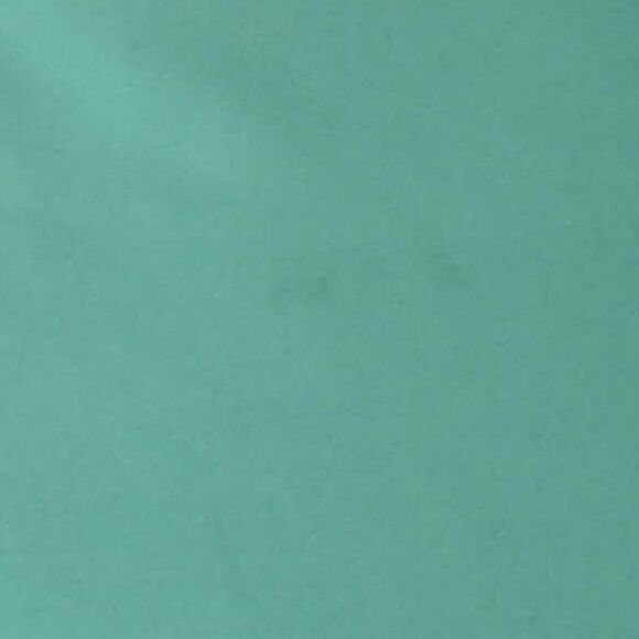 NWT Celebrity Pastel Green Skinny Pants - Picture 3 of 6